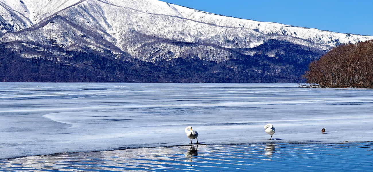 《北海道》阿寒湖．富良野．破冰船．摩周湖．美食溫泉6日