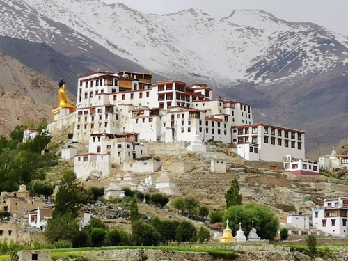 喀什米爾-力奇寺 Likir Monastery