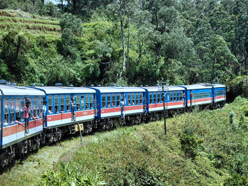 斯里蘭卡- Nuwara Eliya - Ella 高山茶園小火車