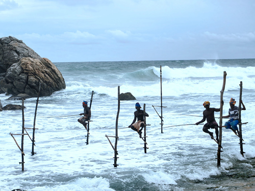 斯里蘭卡-高蹺釣魚 stilt fishing