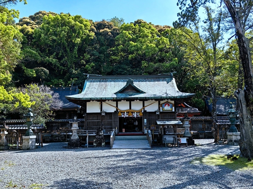 和歌山-鬥雞神社