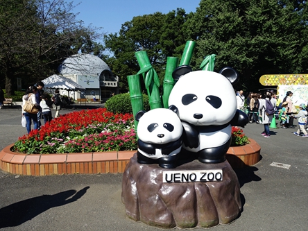 東京-恩賜上野動物園 Ueno Zoo