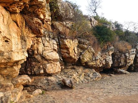 王舍城 Rajgir 七葉窟．第一次佛教經典集結處